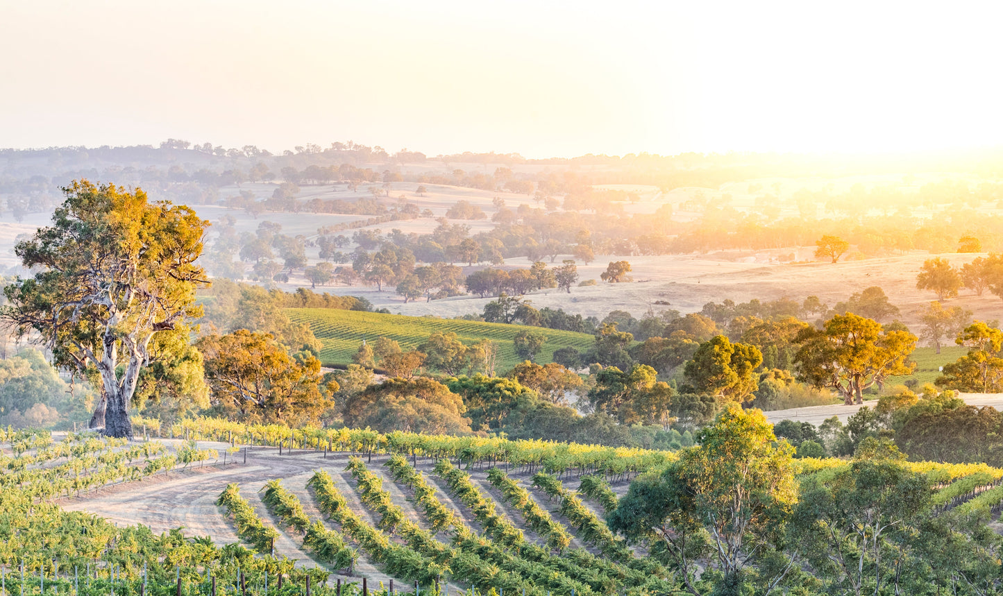Places to See and Visit in Eden Valley and Surrounds
