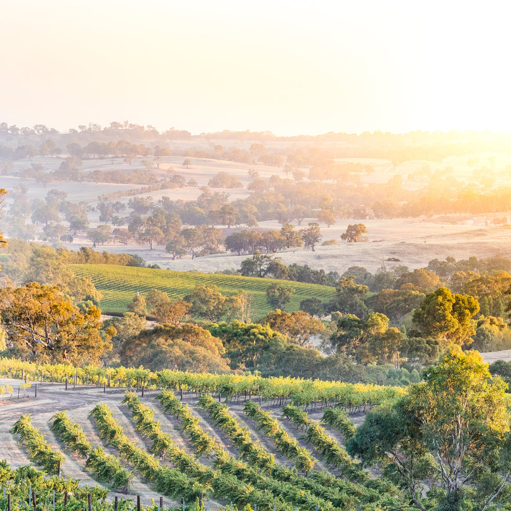 Places to See and Visit in Eden Valley and Surrounds