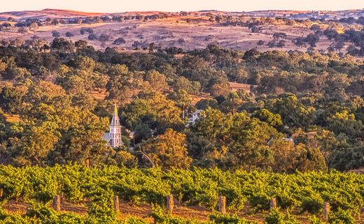 Eden Valley: The Region, Winemaking, and Defining Characteristics